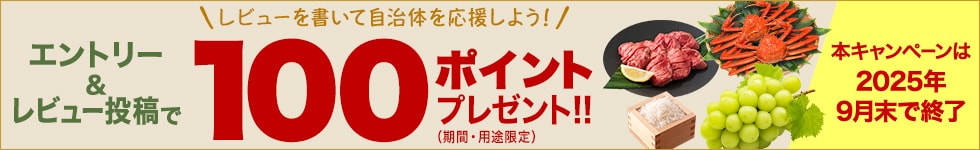 レビューキャンペーン