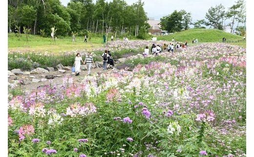 北海道恵庭市の地域・返礼品情報|dショッピングふるさと納税百選