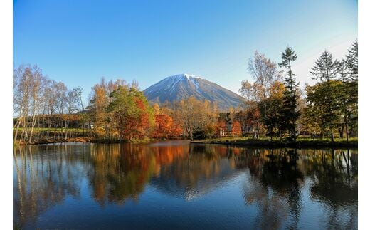 北海道倶知安町の地域・返礼品情報|dショッピングふるさと納税百選