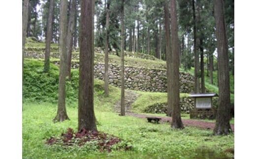 石川県七尾市の地域・返礼品情報|dショッピングふるさと納税百選