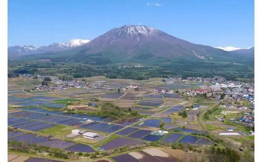 自治体トップ|dショッピングふるさと納税百選