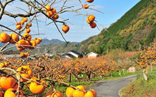 鳥取県八頭町の地域・返礼品情報|dショッピングふるさと納税百選