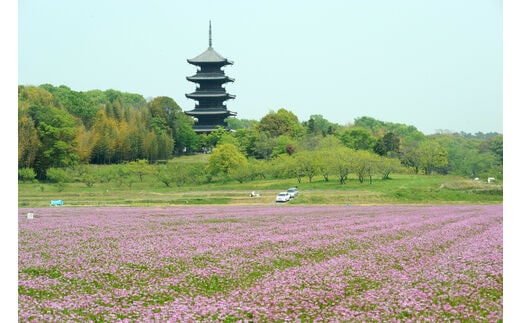 岡山県総社市の地域・返礼品情報|dショッピングふるさと納税百選