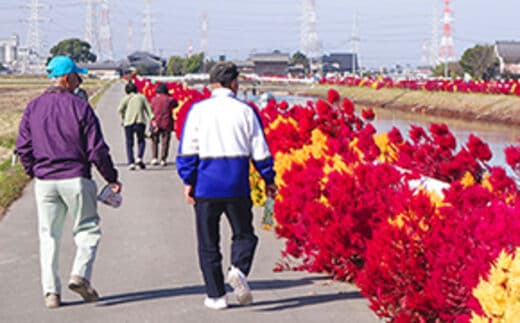 福岡県大木町の地域・返礼品情報|dショッピングふるさと納税百選