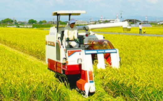 福岡県大木町の地域・返礼品情報|dショッピングふるさと納税百選