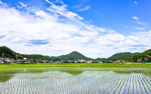 熊本県南関町の地域・返礼品情報|dショッピングふるさと納税百選