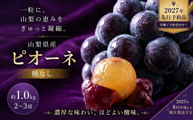 2027年先行予約 山梨県産 種なしピオーネ 約1.0kg・2～3房