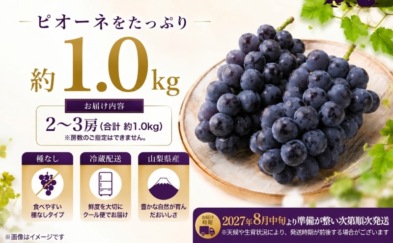 山梨県産 種なしピオーネ 約1.0kg・2～3房 商品内容