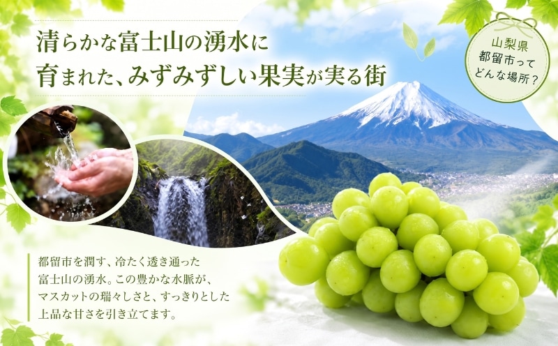 山梨県都留市の風景とシャインマスカット