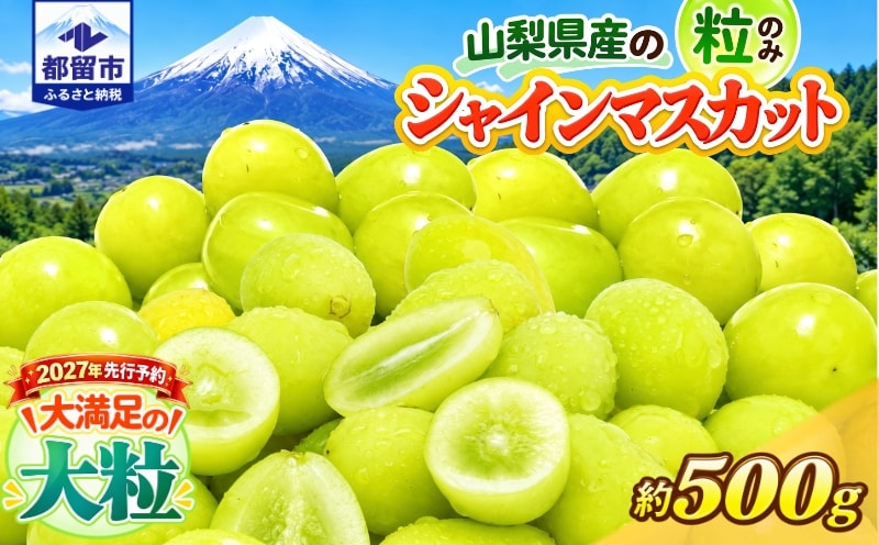 2027年先行予約 山梨県産シャインマスカット 粒 約500g