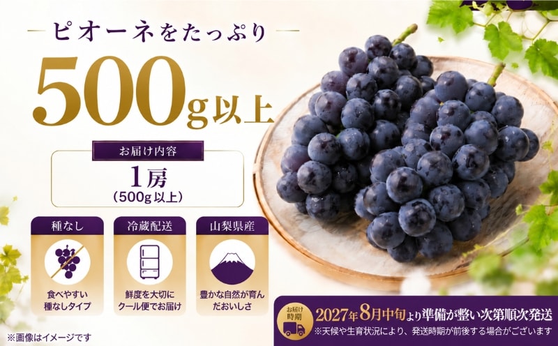 山梨県産 種なしピオーネ 500g以上・1房 商品内容
