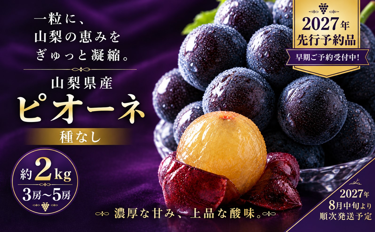 2027年先行予約 山梨県産 種なしピオーネ 約2.0kg・3～5房