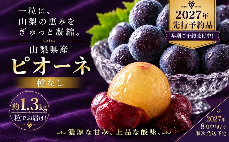 2027年先行予約 山梨県産 種なしピオーネ 粒 約1.3kg