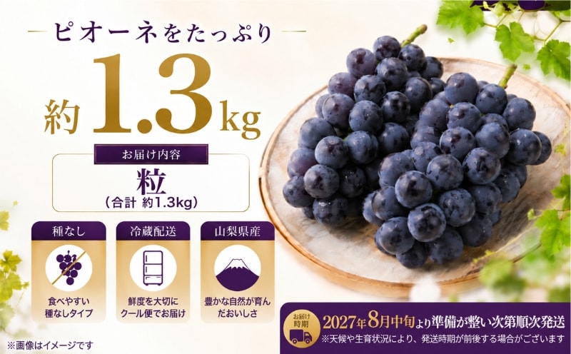 山梨県産 種なしピオーネ 粒 約1.3kg 商品内容