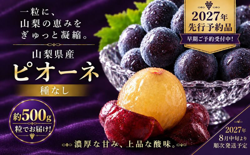 2027年先行予約 山梨県産 種なしピオーネ 粒 約500g