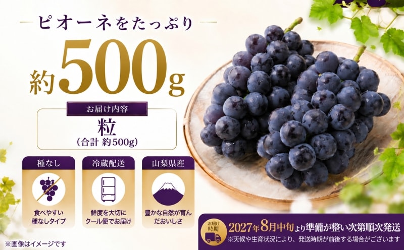 山梨県産 種なしピオーネ 粒 約500g 商品内容