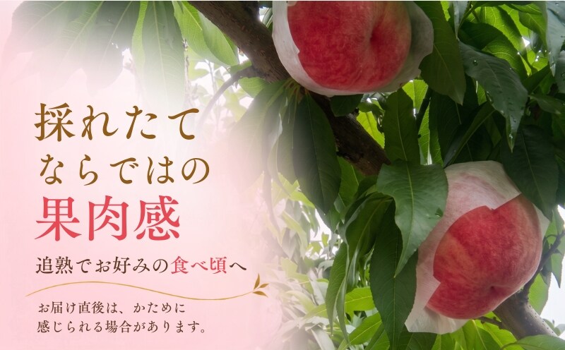 山梨県産桃のお届け方法