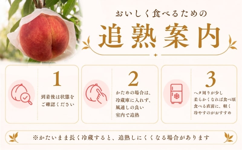 桃の品種・旬のイメージ