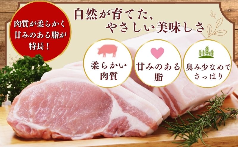 放牧豚の肉質と脂