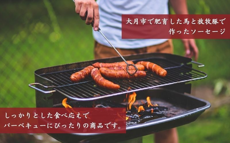 馬豚ソーセージのバーベキュー調理例