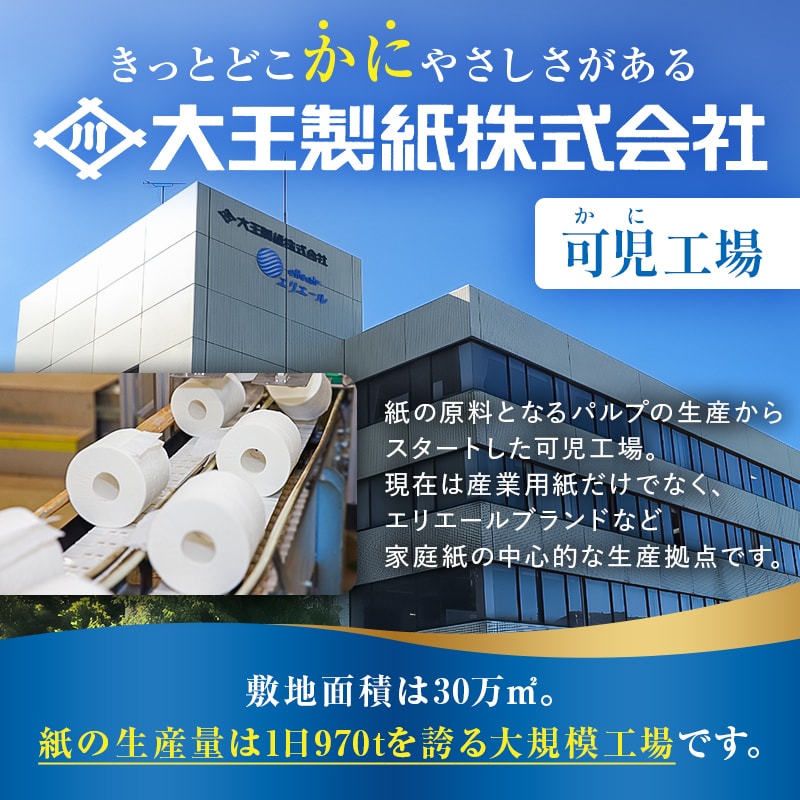 エリエール i:na（イーナ）ソフトパックティシュー