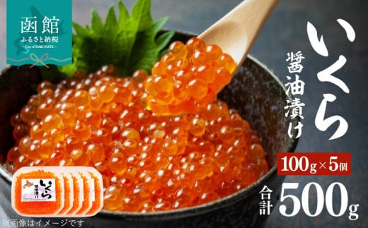 味の匠 いくら醤油漬け１００ｇ×５_HD064-008