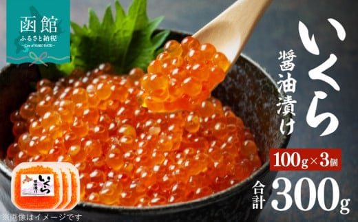 味の匠 いくら醤油漬け１００ｇ×３_HD064-009