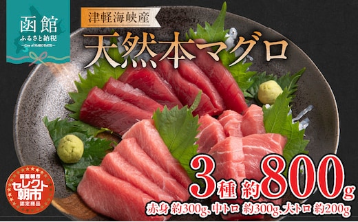 セレクト朝市「津軽海峡産天然本まぐろ」（赤身約300g、中トロ約300g、大トロ約200g）_HD009-034