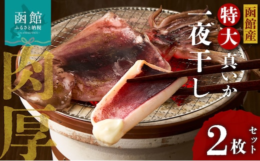 函館産 特大真いか 一夜干し（2枚）_HD010-024