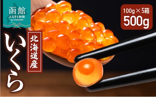 北海道産いくら 100g×5箱_HD117-033
