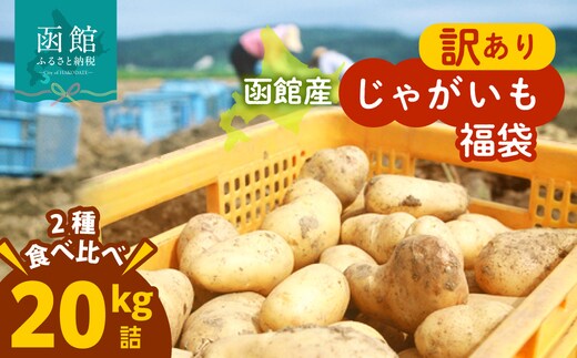 北海道函館産【訳あり】じゃがいも福袋 20kg 詰_HD206-003