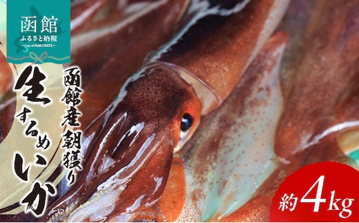 函館産朝獲り生するめいか_HD010-007