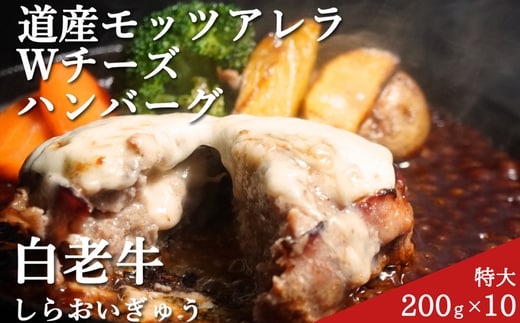 道産和牛ダブルチーズハンバーグ（200g）10個入り MROA048