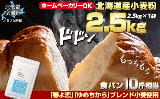 北海道産 「春よ恋」「ゆめちから」ブレンド小麦粉 パウダースノー（パン用強力粉）2.5kg MROBI009