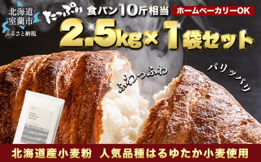 北海道産 はるゆたかブレンド小麦粉 シルバーライズ（パン用強力粉）2.5kg MROBI013