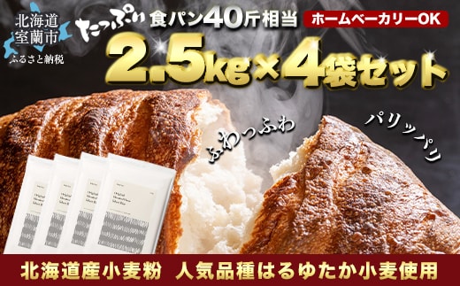 北海道産 はるゆたかブレンド小麦粉 シルバーライズ（パン用強力粉）10kg MROBI016