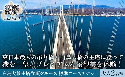 白鳥大橋主塔登頂クルーズ 標準コースチケット 大人2名様 MROX008