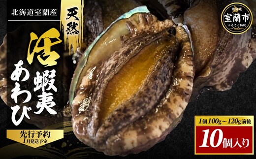 北海道室蘭産 天然活蝦夷あわび 10個入（1個100g～120g前後）（2026年1月中旬頃お届け） MROH007