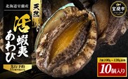 北海道室蘭産 天然活蝦夷あわび 10個入（1個100g～120g前後）2026年11月下旬頃～2027年1月下旬頃順次発送 MROH007