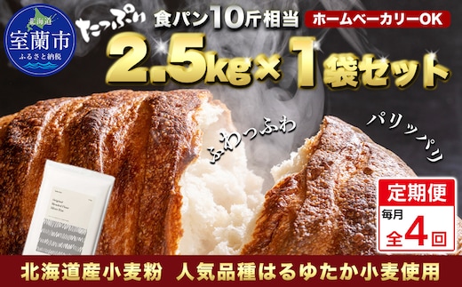 【毎月定期便】北海道産 はるゆたかブレンド小麦粉 シルバーライズ（パン用強力粉）2.5kg 全4回 MROBI026