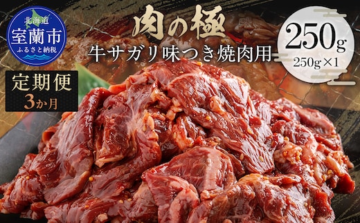 【3か月定期便】牛サガリ味つき焼肉用 250g (250g×1) MROBM021