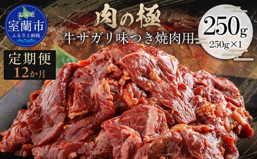 【12か月定期便】牛サガリ味つき焼肉用 250g (250g×1) MROBM023