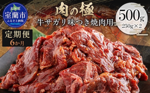【6か月定期便】牛サガリ味つき焼肉用 500g (250g×2) MROBM026