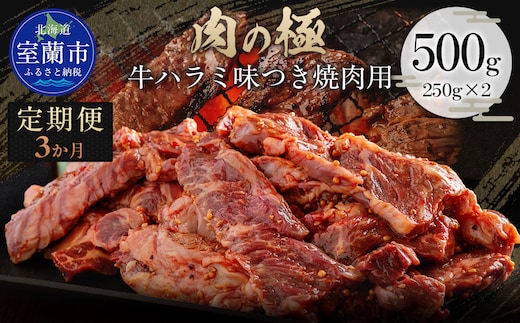 【3か月定期便】牛ハラミ味つき焼肉用 500g (250g×2) MROBM040