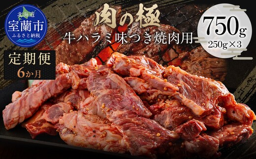 【6か月定期便】牛ハラミ味つき焼肉用 750g (250g×3) MROBM045