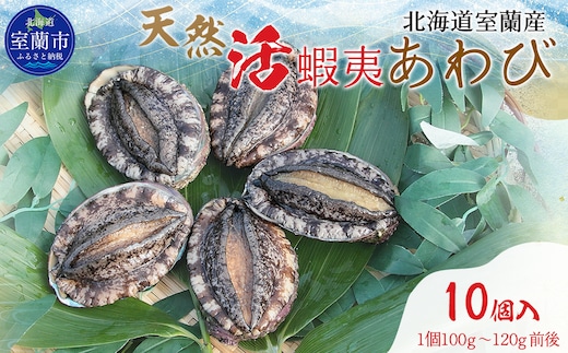 北海道室蘭産 天然活蝦夷あわび 10個入（1個100g～120g前後）（2025年11月下旬頃お届け） MROH007