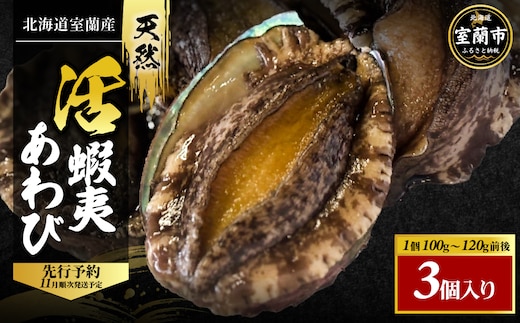 北海道室蘭産 天然蝦夷活あわび 3個入（1個100g～120g前後）2026年11月下旬頃～2027年1月下旬頃順次発送 MROH010