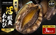 北海道室蘭産 天然蝦夷活あわび 3個入（1個100g～120g前後）2026年11月下旬頃～2027年1月下旬頃順次発送 MROH010