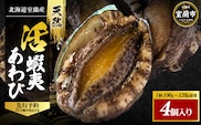 北海道室蘭産 天然蝦夷活あわび 4個入（1個100g～120g前後）2026年11月下旬頃～2027年1月下旬頃順次発送 MROH011