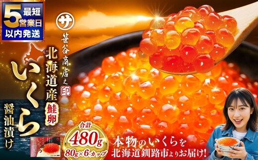 通常発送 新物 北海道産 いくら 醤油漬け 80g×6カップ 計480g 決済から7日前後で発送